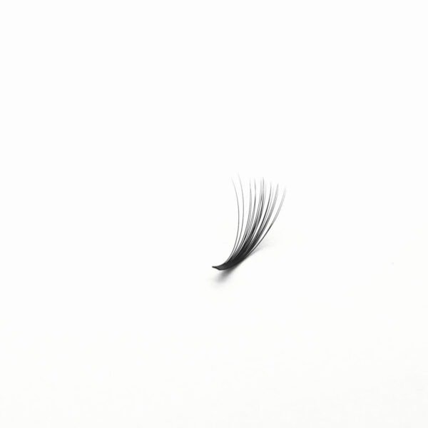 Black Lashes-Easy fan 0.05 - Image 2